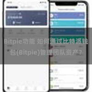 Bitpie功能 如何通过比特派钱包(Bitpie)管理团队资产？
