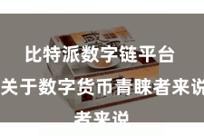 比特派数字链平台  关于数字货币青睐者来说