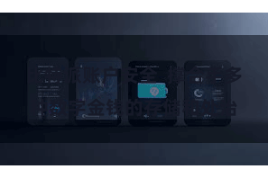 比特派账户安全  撑合手多种数字金钱的存储和处治