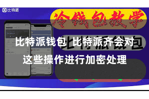 比特派钱包  比特派齐会对这些操作进行加密处理